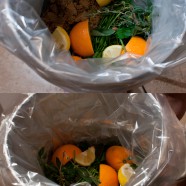 To Brine or not to Brine, The Holiday Time