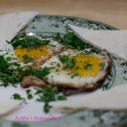 The Noto Egg Debate