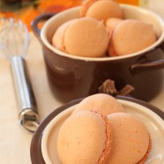 Orange you Glad I am A Pumpkin Macaron