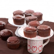 Rich Double Chocolate Cupcakes, a Treat for Tebow