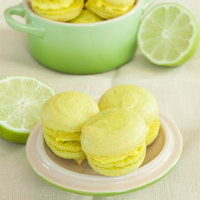 keylime7344SQ