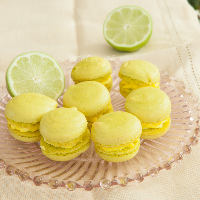 keylime7352SQ