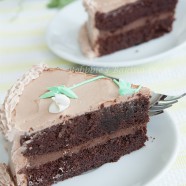 Belgium Chocolate Cake