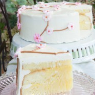Summertime Cherry Blossom Cake