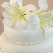 Tiering a Cake