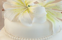 Tiering a Cake