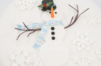 Mr. Freeze, The Holiday Cake that Came to Life