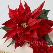 Poinsettia Cake, A Peek into our Holiday Traditions