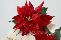 Poinsettia Cake, A Peek into our Holiday Traditions