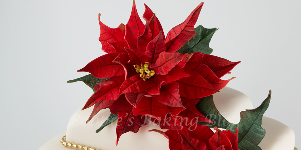 Poinsettia Cake, A Peek into our Holiday Traditions