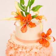 Flamboyant Mayflower Petal Cake
