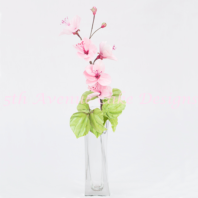 learn how to make gum paste cherry blossom