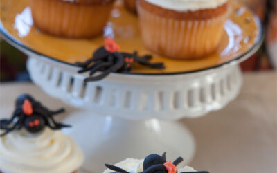 Caught You In My Web with Apple-Pumpkin Cupcakes