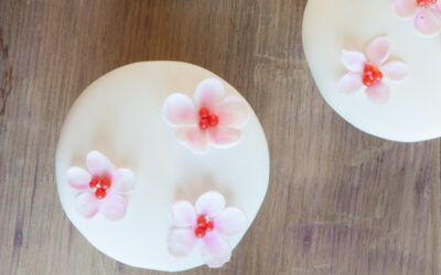 Cherry Blossom Silky Cupcakes