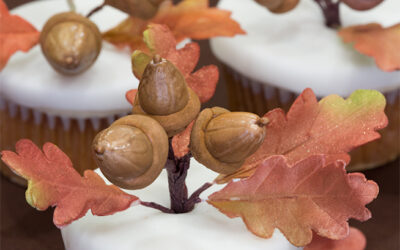 Apple Cider Cupcakes with Acorns and Oak Leaves