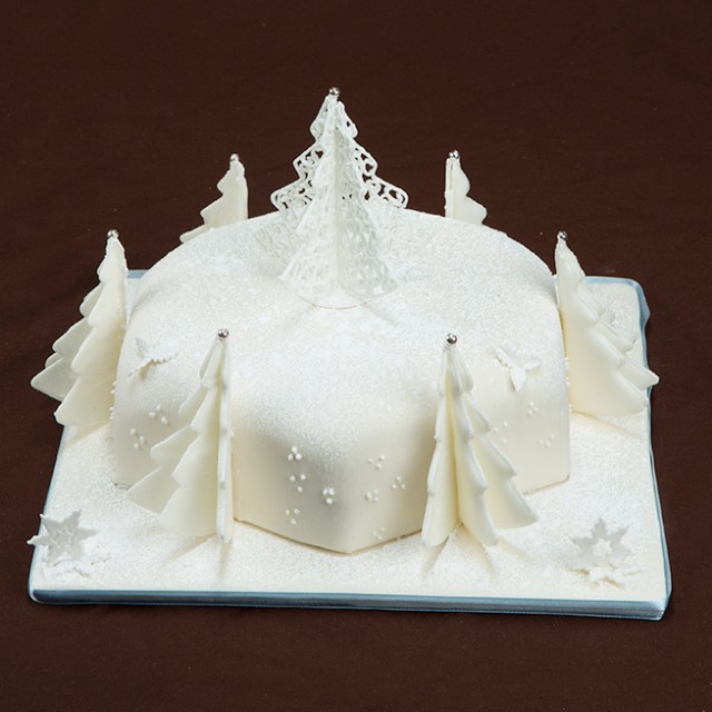 Colorado Wonderland Cake Video Bobbies Baking Blog