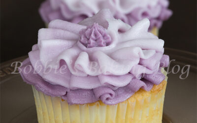 Fashion Inspired Ombre Buttercream Cupcake