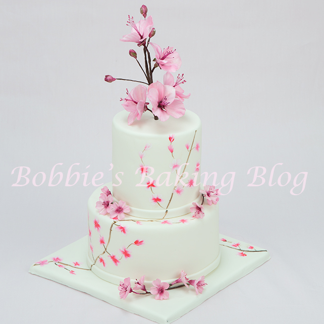 learn how to hand paint cakes
