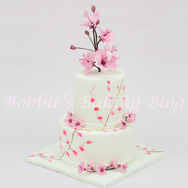 learn how to hand paint cakes like 5th avenue cake designs